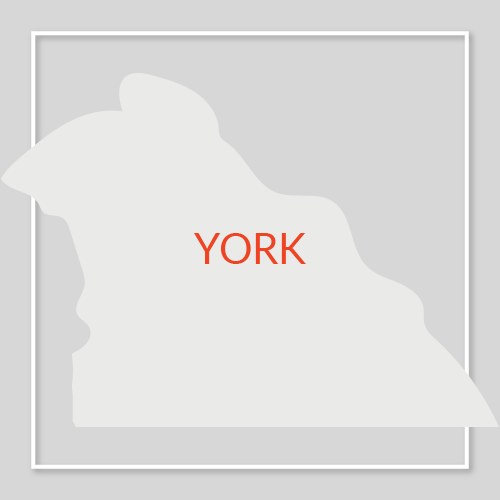 York County